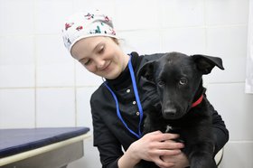За нарушения правил обращения с животными будут штрафовать. Фото из телеграм-канала правительства Иркутской области