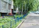 Академгородок. Фото Маргариты Романовой, IRK.ru