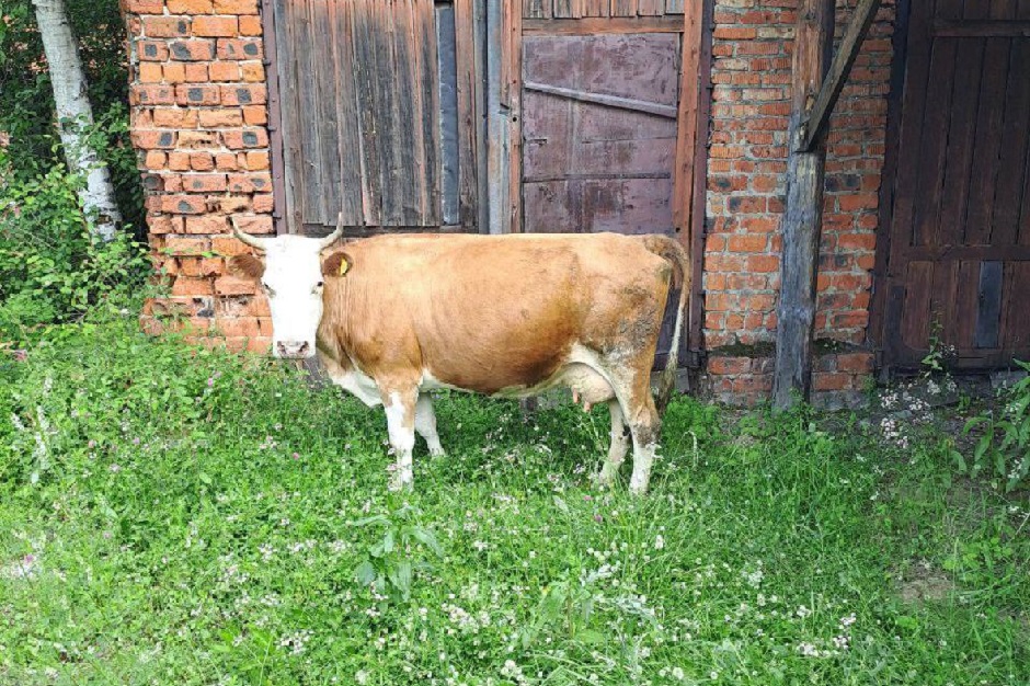 Фото из телеграм-канала администрации Слюдянки