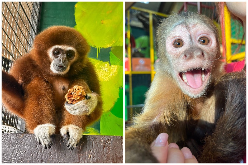 Фото: Сибирский зоопарк