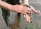 Загрязнение Снежной. Скриншот видео ОНФ по Республике Бурятия