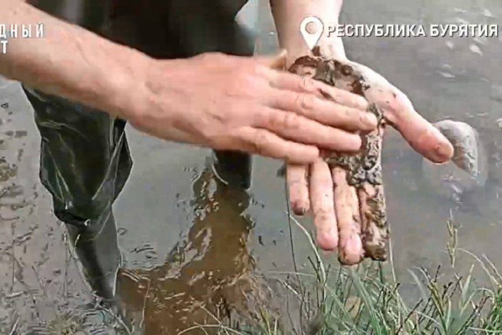 Загрязнение Снежной. Скриншот видео ОНФ по Республике Бурятия