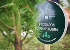 Высадка деревьев. Фото Маргариты Романовой, IRK.ru