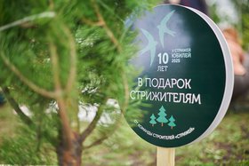 Высадка деревьев. Фото Маргариты Романовой, IRK.ru
