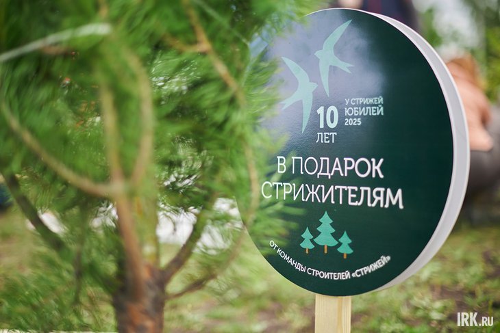 Высадка деревьев. Фото Маргариты Романовой, IRK.ru