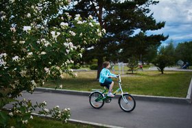 Лето. Фото: Маргарита Романова, IRK.ru