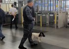 Кинолог со служебной собакой. Скриншот видео транспортной полиции Прибайкалья