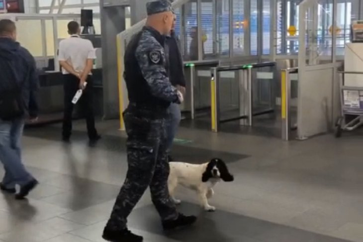Кинолог со служебной собакой. Скриншот видео транспортной полиции Прибайкалья