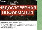 Фейк. Фото предоставлено пресс-службой ГУ МВД по региону