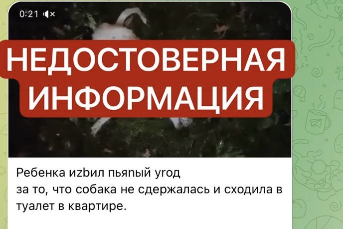 Фейк. Фото предоставлено пресс-службой ГУ МВД по региону