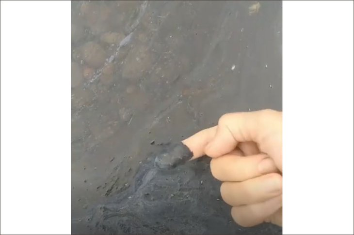 Скриншот видео из телеграм-канала Байкальской межрегиональной природоохранной прокуратуры