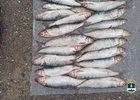 Фото пресс-службы МВД по Республике Бурятия