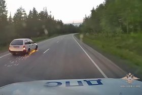 Погоня. Скриншот видео из телеграм-канала Ирины Волк