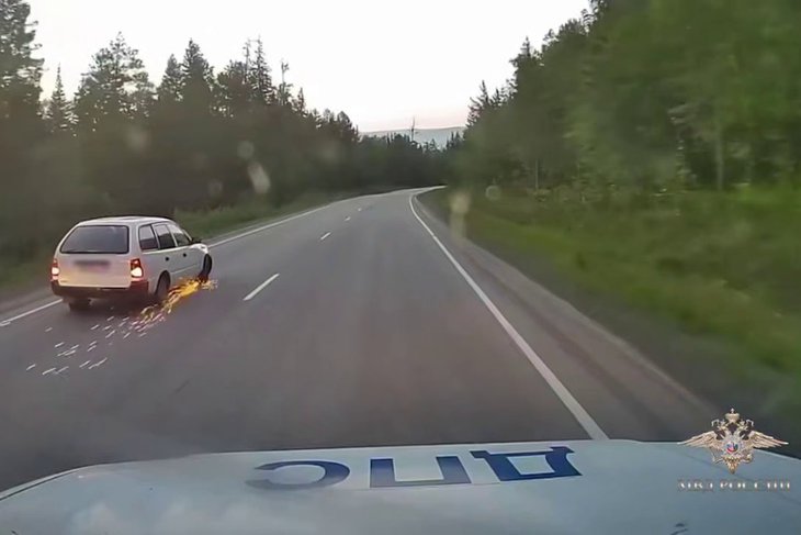 Погоня. Скриншот видео из телеграм-канала Ирины Волк