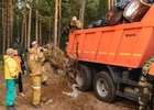 Специалисты очищают лес от мусора. Фото пресс-службы правительства Иркутской области