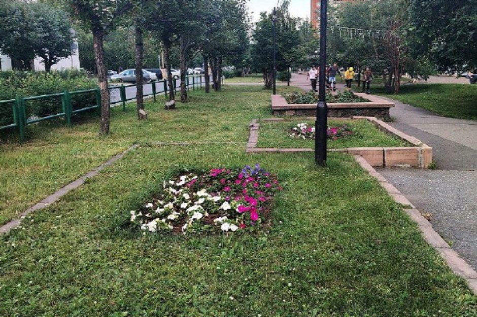Клумба. Фото из телеграм-канала «Братчане»