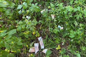 Деньги. Фото пресс-службы ГУ МВД по региону