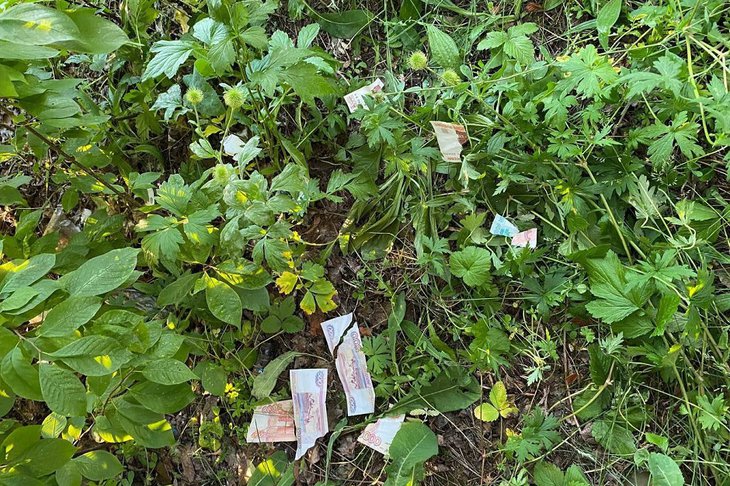 Деньги. Фото пресс-службы ГУ МВД по региону