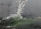 Водоем. Фото пресс-службы ГУ МЧС по региону