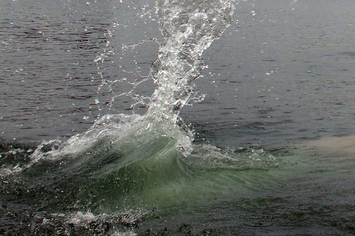 Водоем. Фото пресс-службы ГУ МЧС по региону