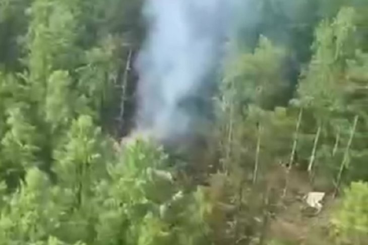 Обломки самолета в лесу. Скриншот видео МЧС России