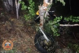 Мотоциклист врезался в дерево. Скриншот видео пресс-службы Госавтоинспекции Иркутской области