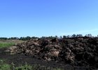 Навоз на участке. Фото управления Россельхознадзора по Иркутской области и Бурятии