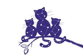 Большие учёные коты