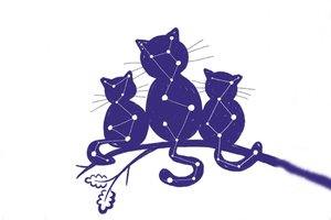 Большие учёные коты