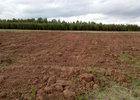 Пашня. Фото управления Россельхознадзора по Иркутской области и Бурятии