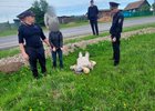 Следственные действия. Фото пресс-службы СУ СКР по Иркутской области