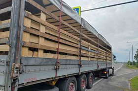 Фура с телятами. Фото Россельхознадзора по Иркутской области и Бурятии