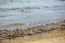Водоем. Фото из архива IRK.ru