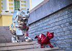 Бабр и Соболь. Фото Маргариты Романовой, IRK.ru