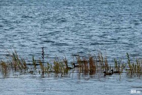Водоем. Фото IRK.ru