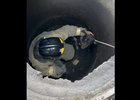 Спасение собаки. Скриншот видео ГУ МЧС России по Иркутской области