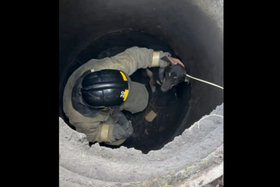 Спасение собаки. Скриншот видео ГУ МЧС России по Иркутской области
