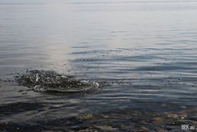 Брызги на воде. Фото Марины Палеевой, IRK.ru