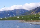 Прибайкальский нацпарк. Фото Галины Задарновской из телеграм-канала «Заповедного Прибайкалья»