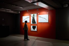 Ночь кино в Галерее Виктора Бронштейна