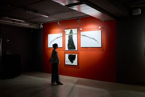 Ночь кино в Галерее Виктора Бронштейна