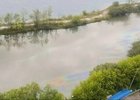Масляное пятно. Фото из телеграм-канала «Инцидент Иркутск»