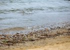 Водоем. Фото из архива IRK.ru