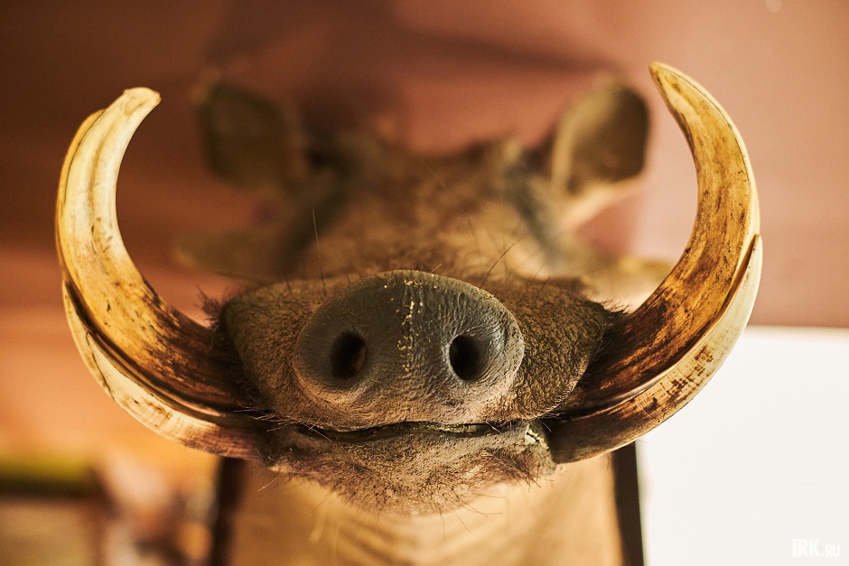 На его волосах обнаружили гнид. Фото Маргариты Романовой, IRK.ru