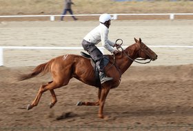 Конные соревнования на призы губернатора Иркутской области