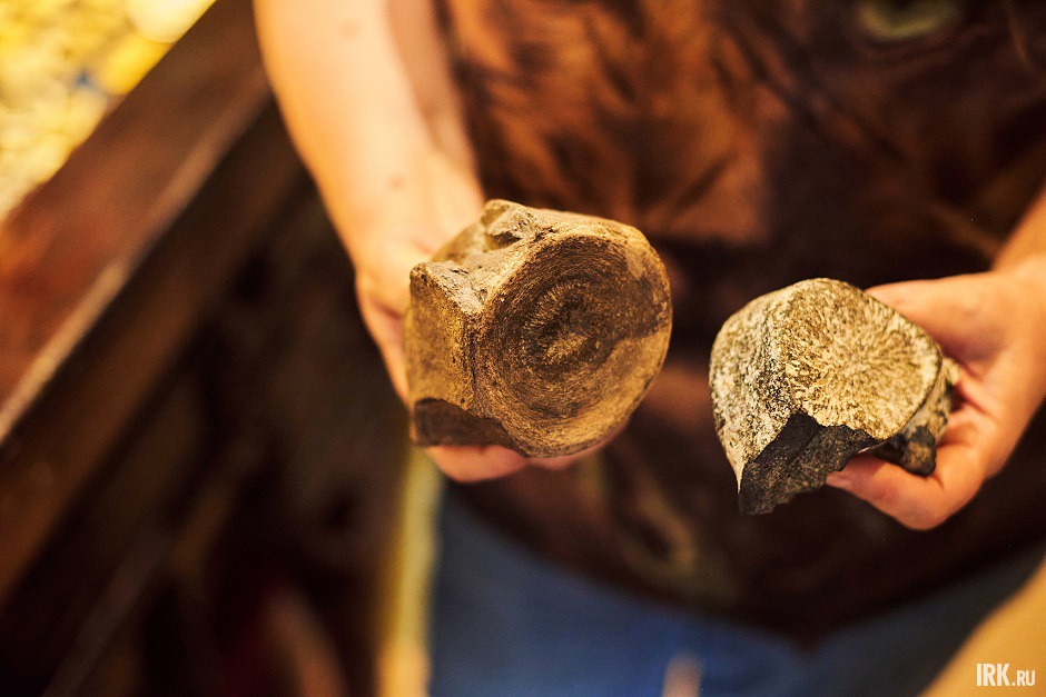 Кости животных. Фото Маргариты Романовой, IRK.ru