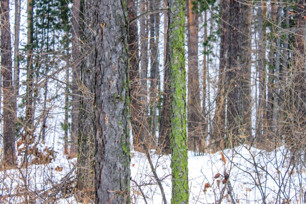 Фото: «Наука-Тур Байкал»