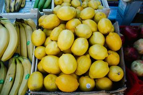 Лимоны. Фото из архива IRK.ru