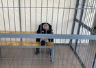 Михаил Попков. Фото пресс-службы прокуратуры Иркутской области