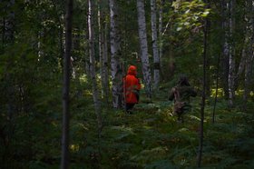 Поиски заблудившихся. Фото пресс-службы ГУ МВД России по Иркутской области